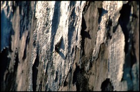 "Face à des Murs"
