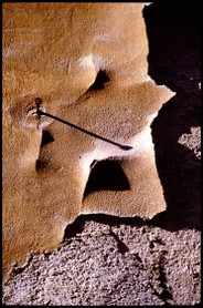 "Face à des Murs"