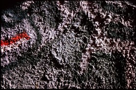 "Face à des Murs"