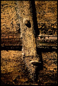 "Face à des Murs"