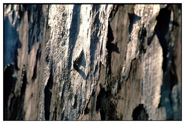 "Face à des Murs"